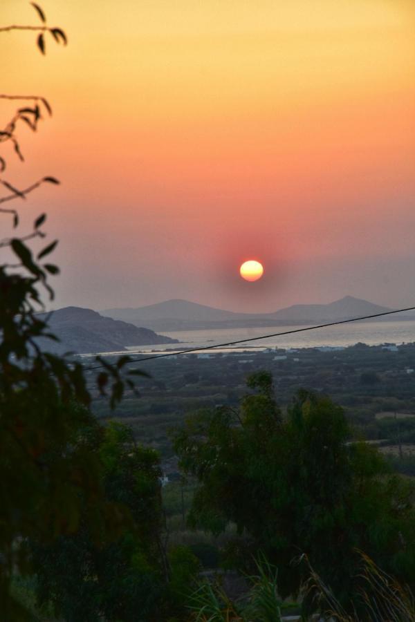 Rustic Private Cottage W/ King Bed In Galanado Naxos 外观 照片